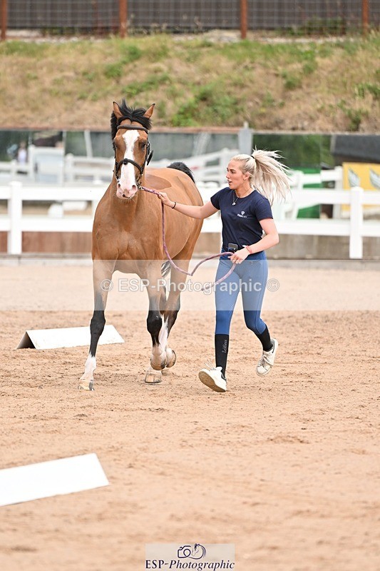 250716-151227-01763 - Trot Up 2.30 to 3.30