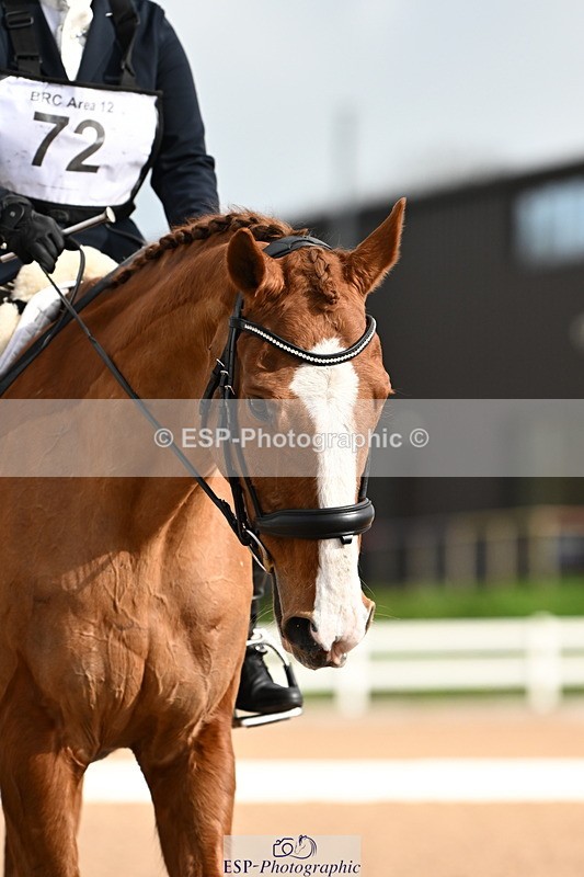 240324A-093819-00710 - Prelim 12, Start to 10.30