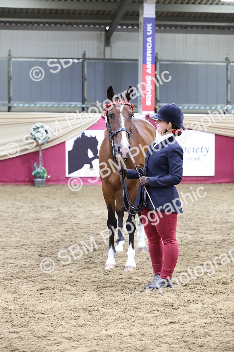 SBM_20173 - Class C - Novalty Champ