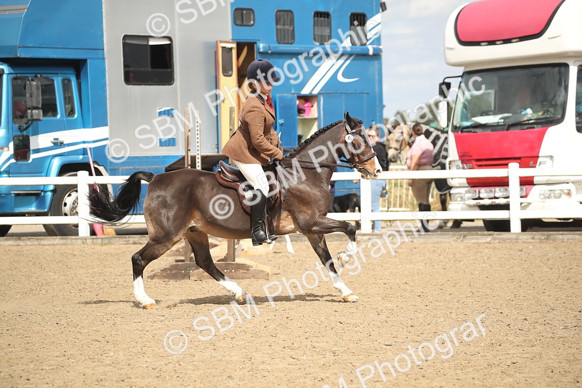 SBM_15273 - Class 506b - Working Veteran - 50cm (20+)