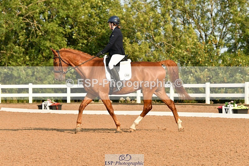 250817-085827-06704 - 080-Elizabeth.StoneZiggy