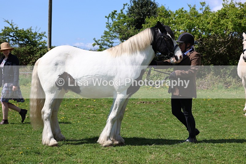 3E7A0328 - Class 19: Best Coloured in Hand