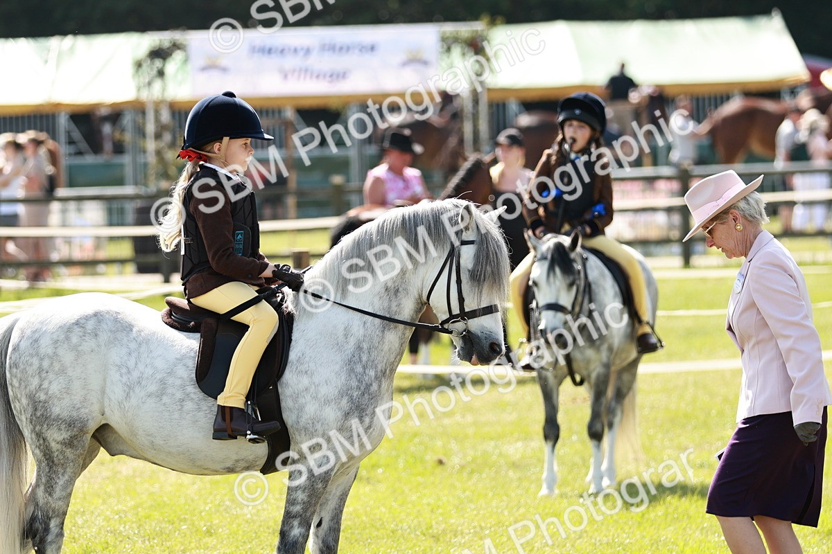 SBM_12774 - Class 106-107 - BSPS LIHS Working Sports Pony