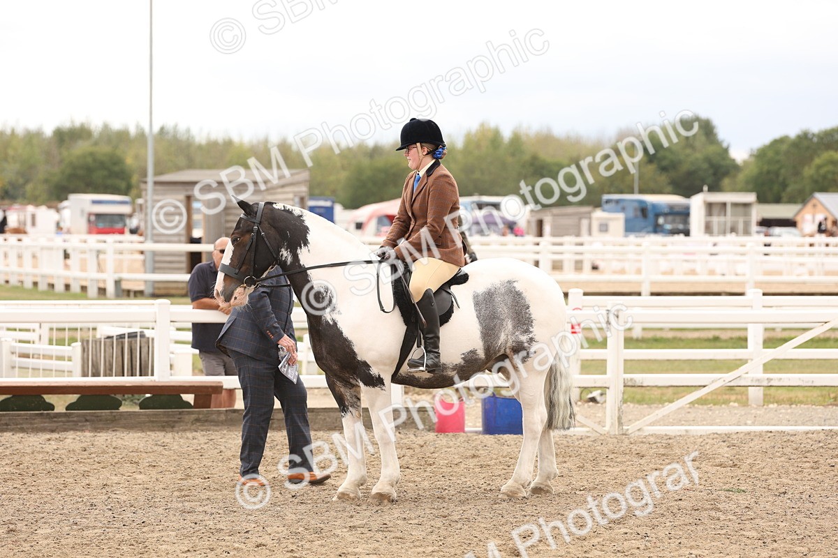 SBM_06221 - Class 57b -  Style & Performance - 60cm (20+)