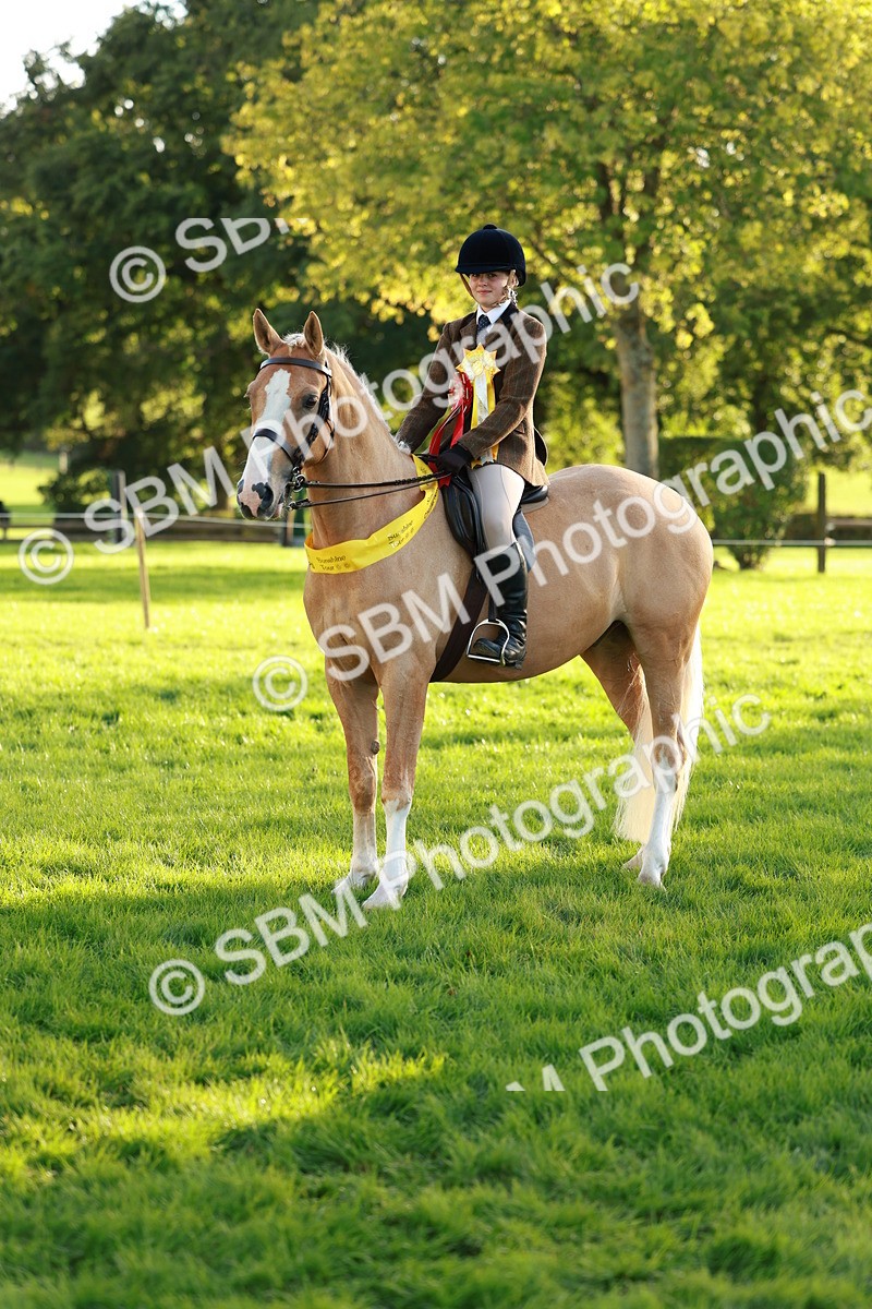 SBM_29324 - Novice & newcomer Supreme Championship