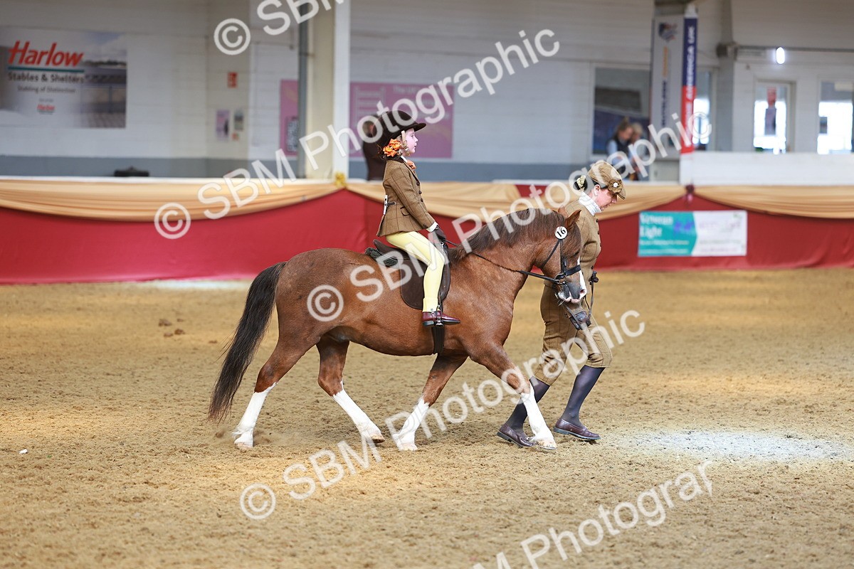 SBM_12612 - Class 103 - HOYS Veteran Qualifier - Ridden Pre Vet