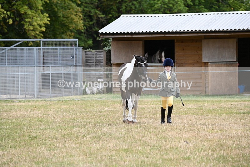 WJ6_4327 - Class 10 Coloured In-hand