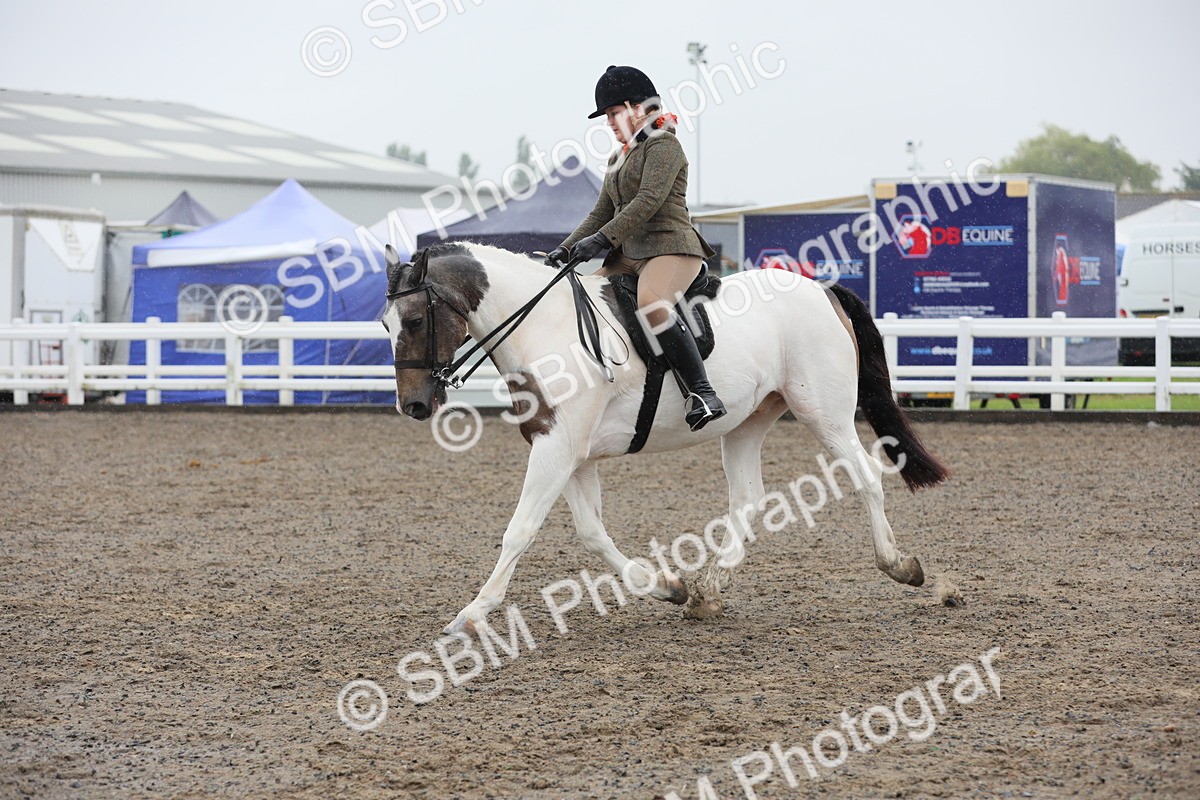SBM_20612 - Class 804 - Ridden Veteran Pony