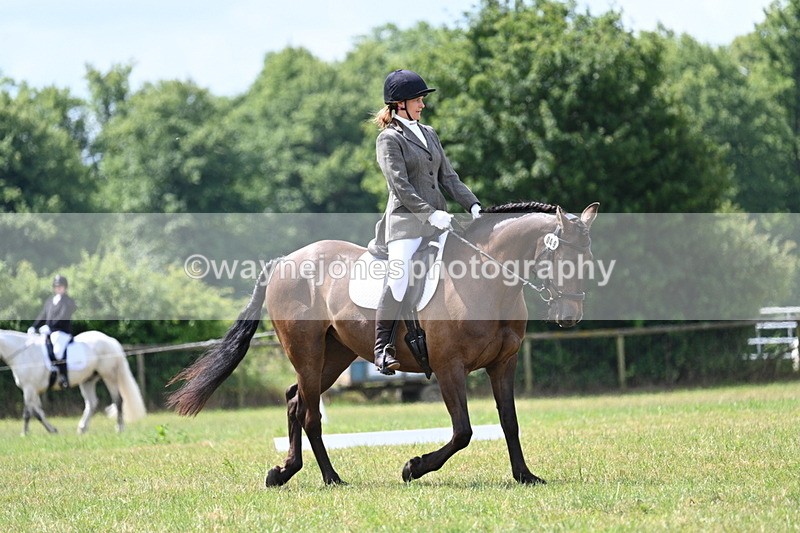 WJ7_4805 - Time 11:22 to 11:51