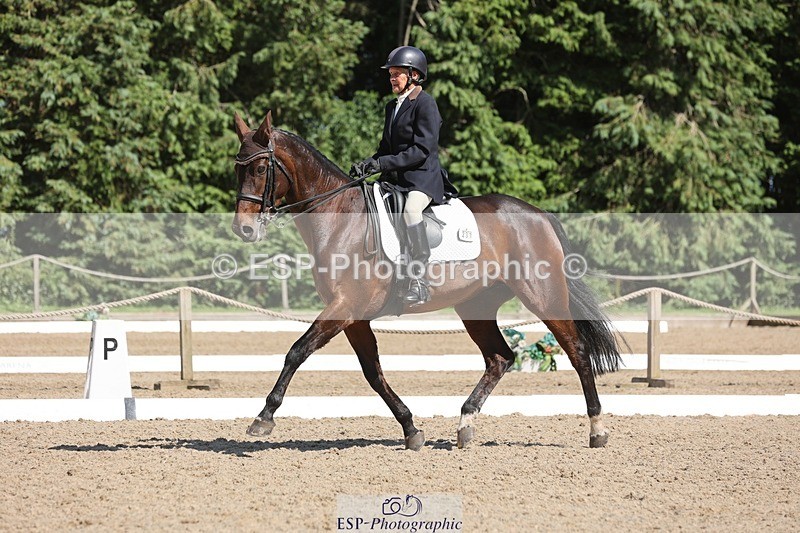 240719-155635-02997 - 237-Sue_Lanz-Wellshead_Foxtrot