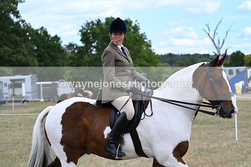 WJ7_5428 - Class 12 Ridden Cob