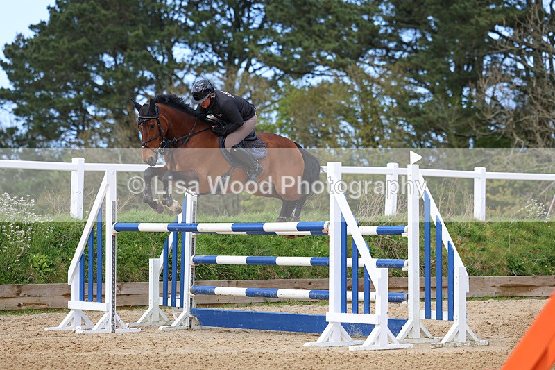 3E7A2045 - Class 8: Senior Foxhunter/1.20 open