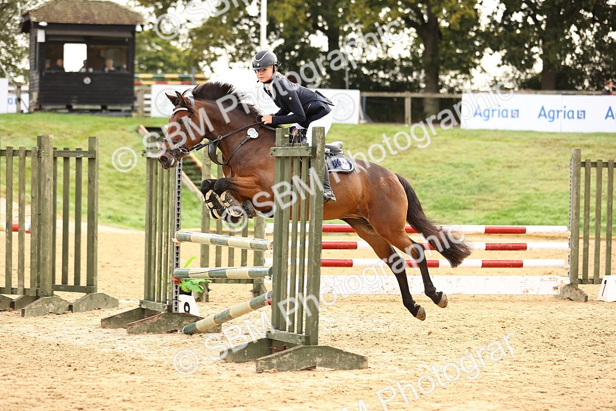 SBM_58431 - J41 - Grand Tour Horse & Pony 95cm