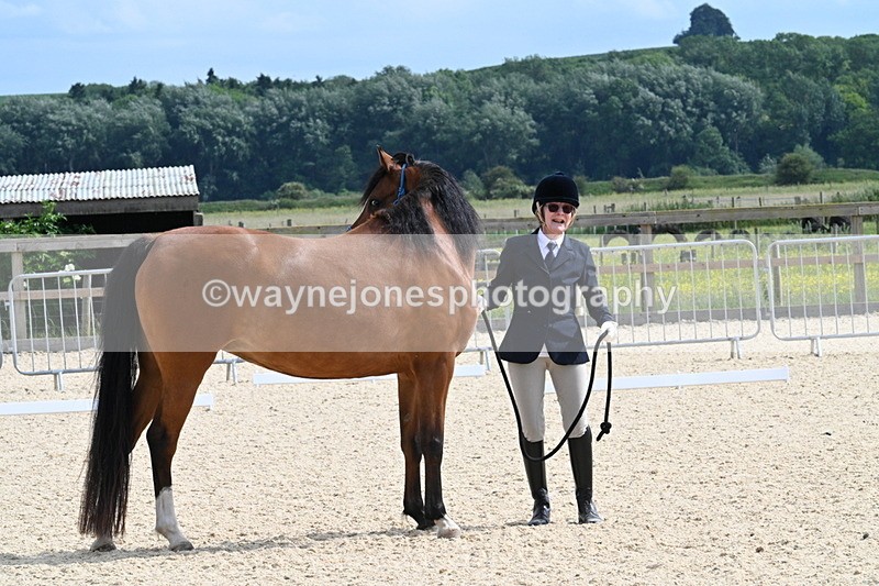 WJ7_8134 - Time 16:10 to 16:25