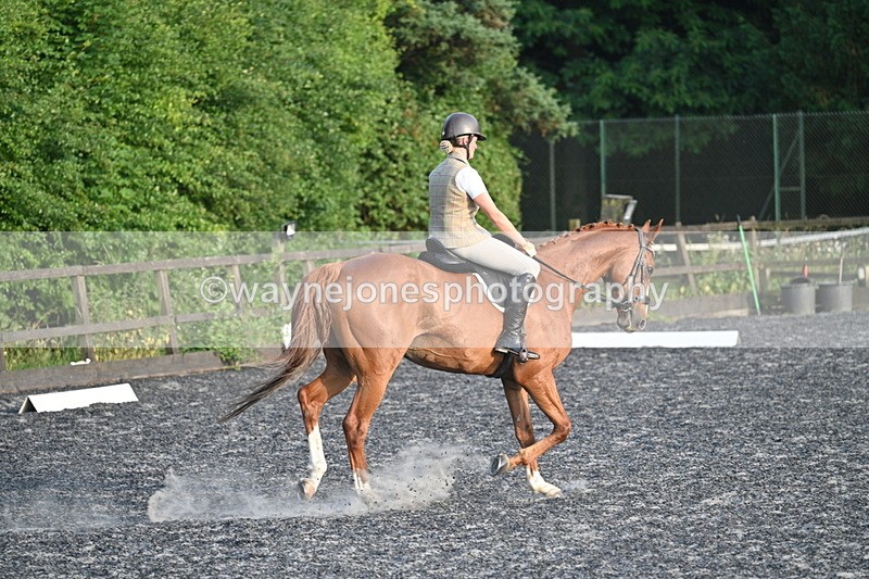 WJ7_0384 - Time 19:38 to 20:00