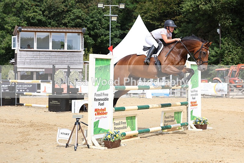 3E7A4335 - Class 8: Senior Foxhunter/1.20 open