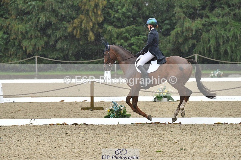 231018-143916-00614 - 002-CHILLI.BILL-Alicia.Wilkinson-DR