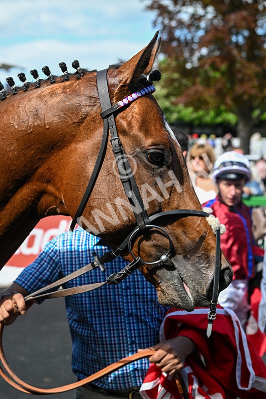 030525-Race 3-Flight Plan-2976 - Race 3