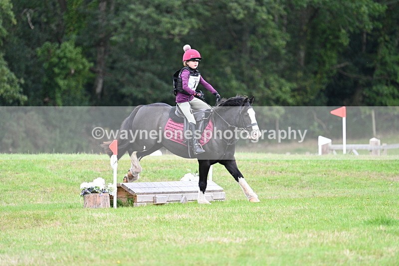 WJ7_7328 - 40cm Time 10:06 to 10:24