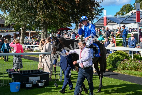 240824-Race 5-Elmonjed-1583 - Race 5 4.10pm Sky Bet Constantine Handicap