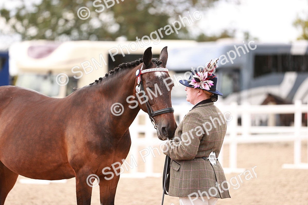 SBM_16347 - Class 413 - Best Condition - Adult