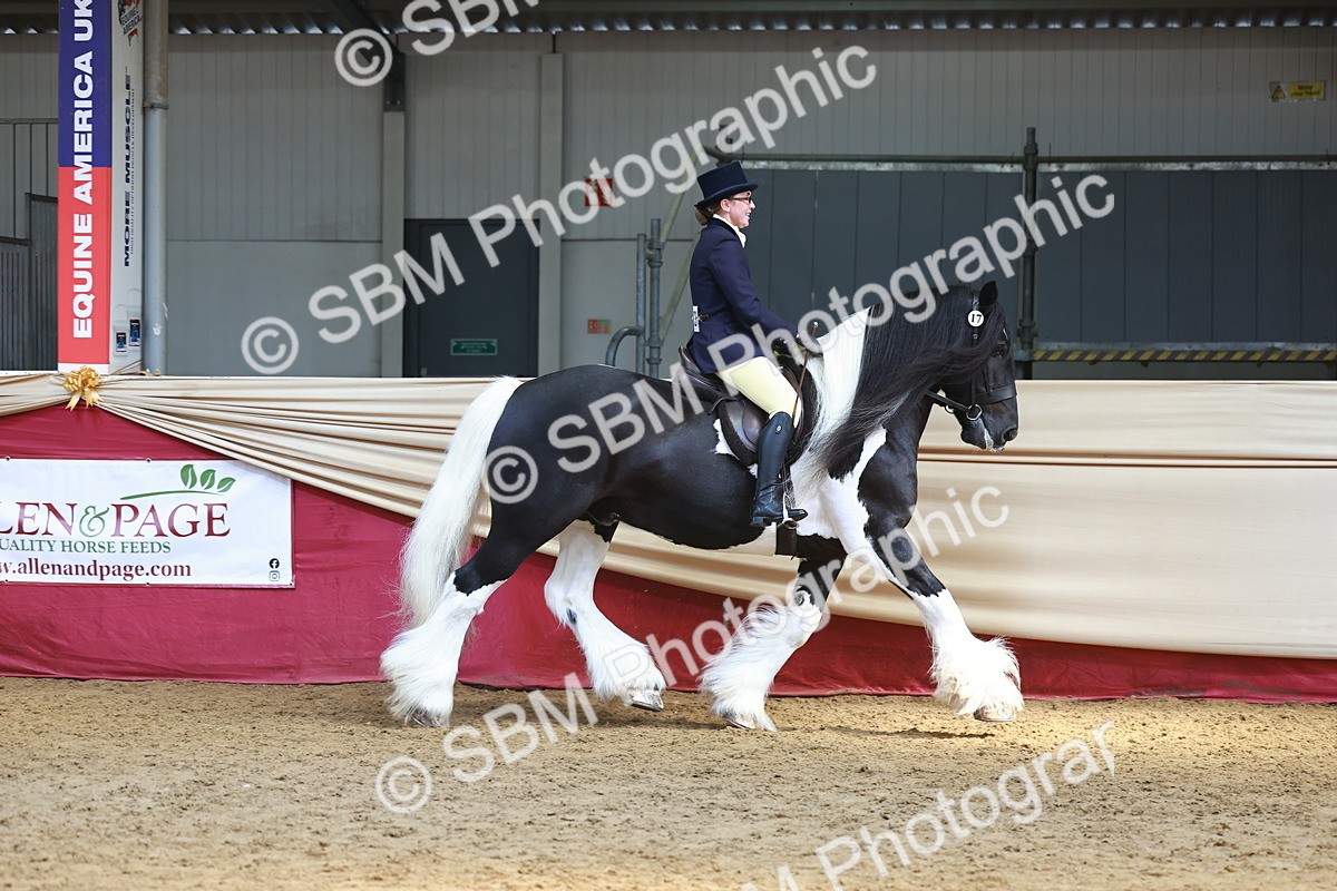 SBM_23322 - class 906 - Supreme Final - Ridden Pre Vet