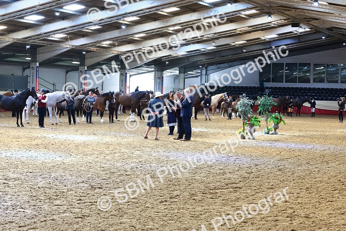 SBM_22407 - Class 902 - Supreme Final - IH Diamond