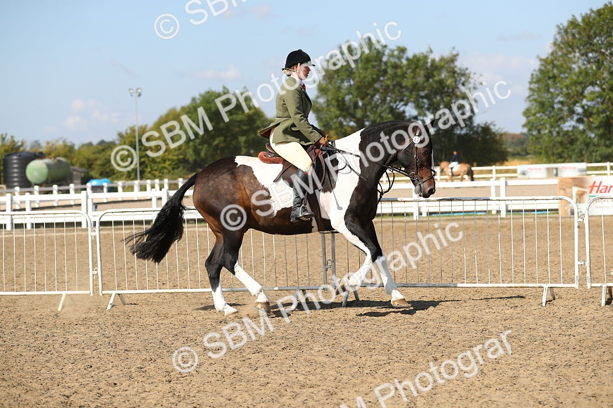 SBM_03144 - Class 44 Riding Club Horse/ Pony