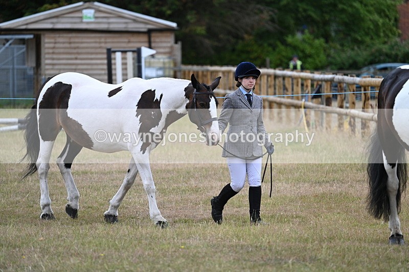 WJ7_9056 - Class 4a Prettiest Mare 14.2hh and over