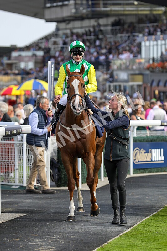 310824-Race 3-Frank The Spark-1365 - Race 3