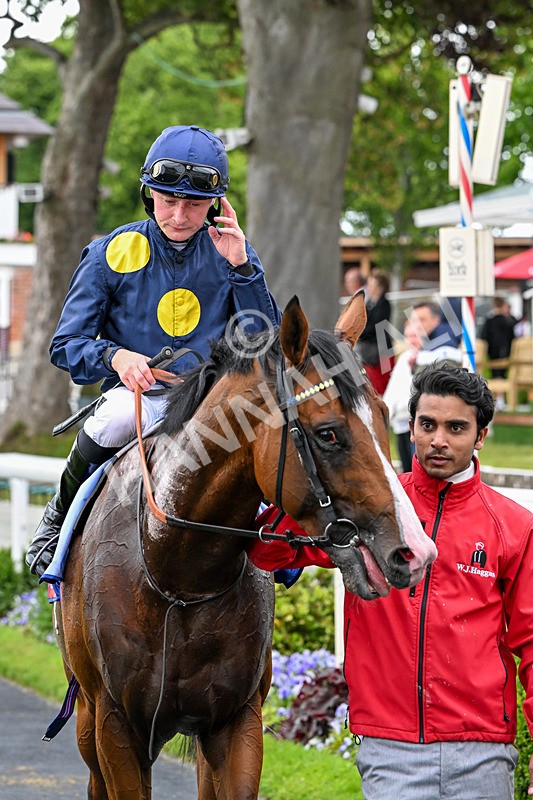 130626-Race 2-Extremely Zain-0954 - Race 2 14.25pm Sky Bet Supporting Macmillan Handicap