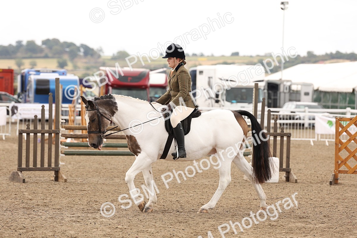 SBM_02889 - Class 53 - Ridden Competition Horse/Pony