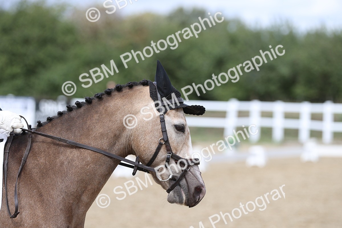 SBM_003725 - Class 6 - Prelim 3 Champs