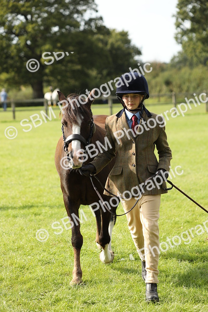 SBM_68638 - S40 - Junior Handler 9-12 Years