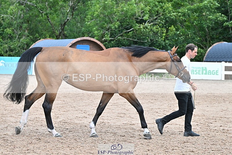 240718A-105308-01613 - Trot Up 1pm to 2pm