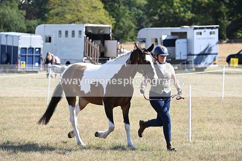 WJ6_4202 - Class 16 Condition & Turn Out