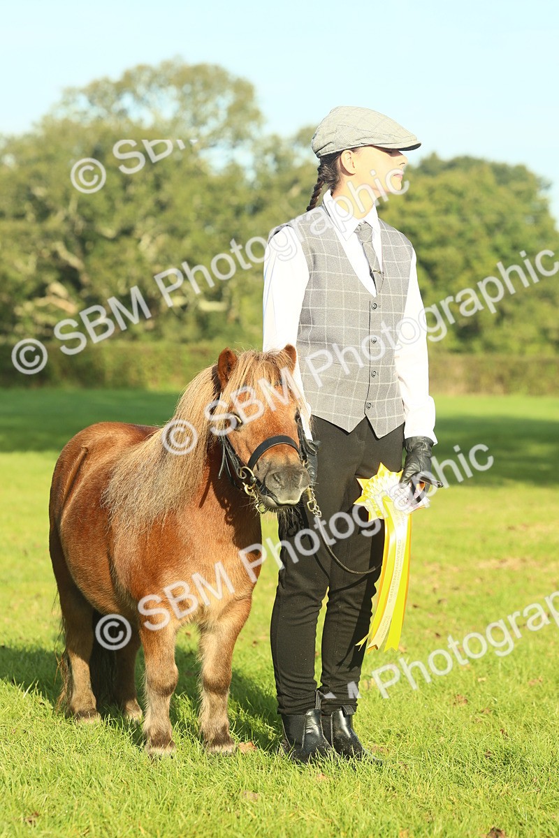 SBM_58466 - S37 - Starters In Hand Showing
