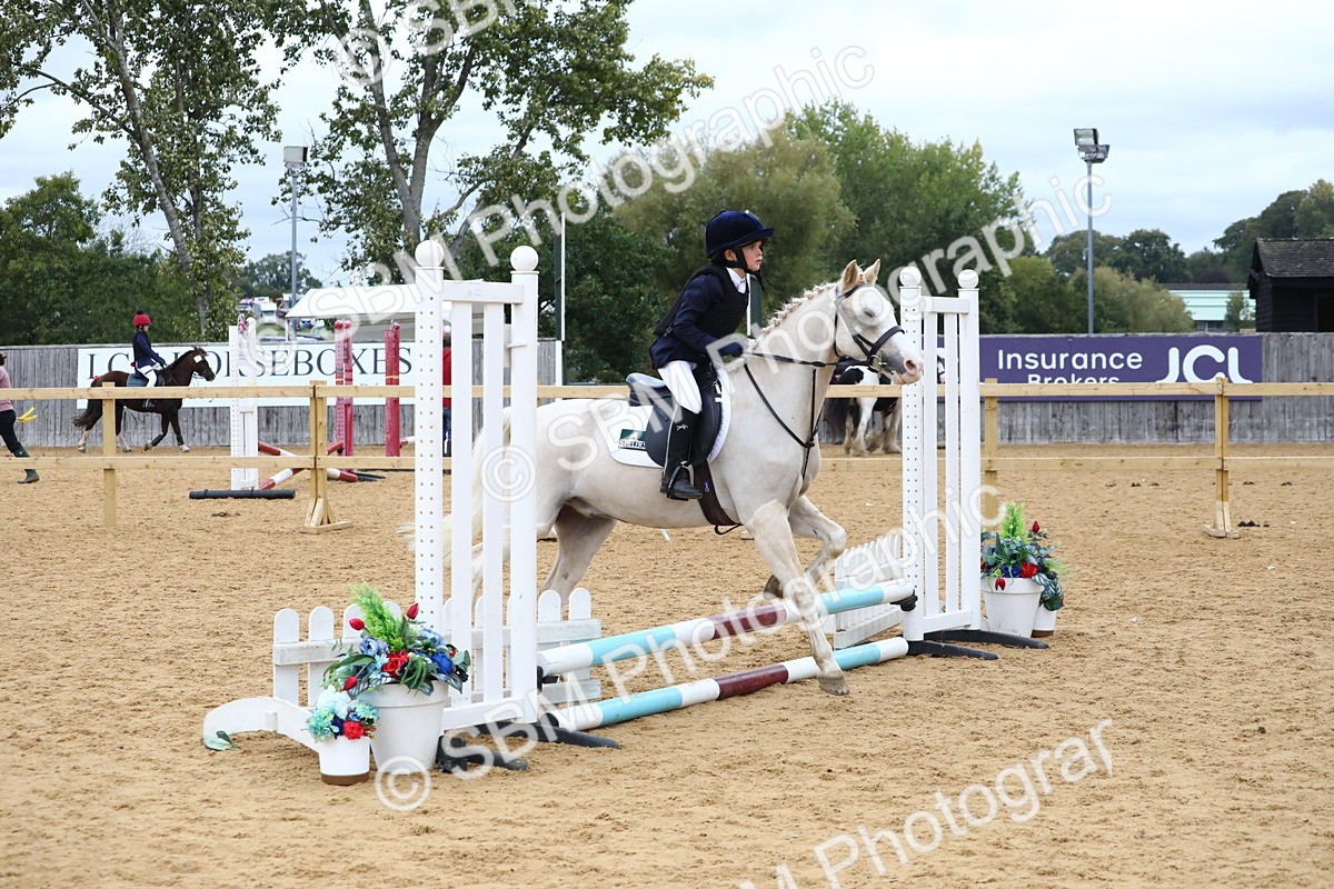 SBM_68293 - J3b - Mini Tour Junior Pony 40cm Championship