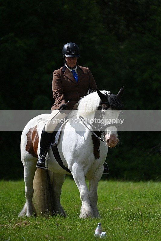 WJ7_1347 - Class 11 Condition & Turnout