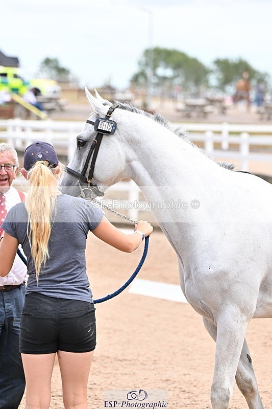 250716-142151-01035 - Trot Up 1.30 to 2.30