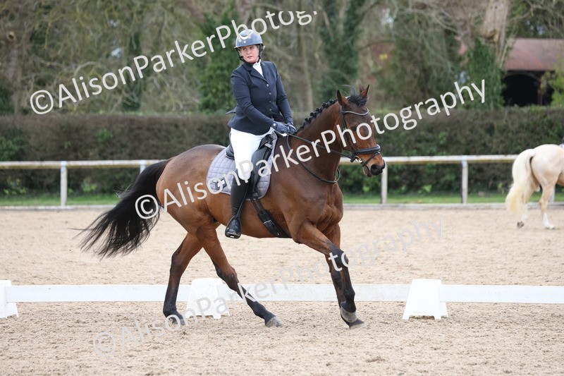 20260301-0419 - Class 3 - Novice 4