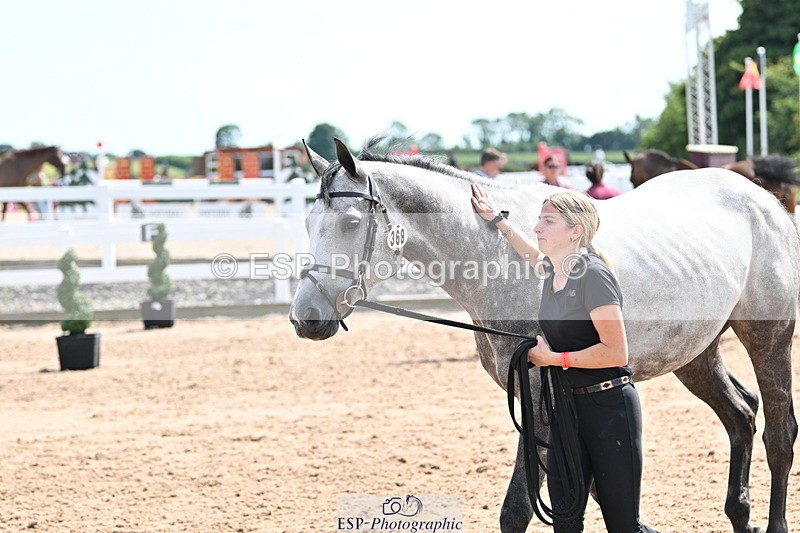 240717A-150949-02591 - Trot Up 3pm to 4pm