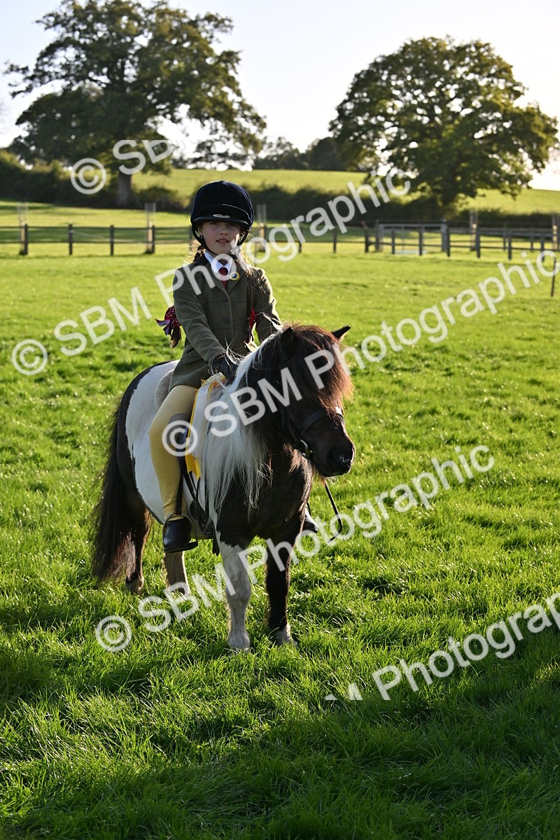 SBM_53086 - S23 - First Ridden Mountain & Moorland Pony