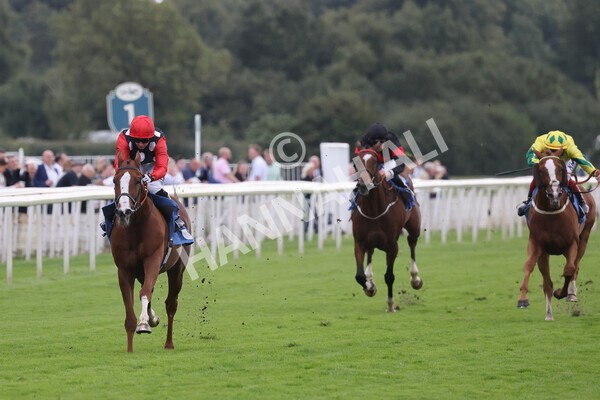 yr24092021r6-23 - Race 6 4.25pm William Hill Pick Your Places Stakes