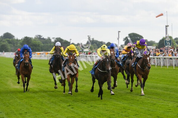 yr11062022r6-17 - Race 6 4.15pm Reg Griffin Appreciation EBFstallions.com Maiden Stakes