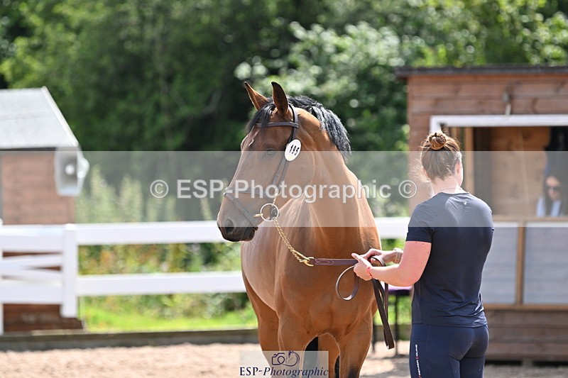 240717A-150404-02501 - Trot Up 3pm to 4pm