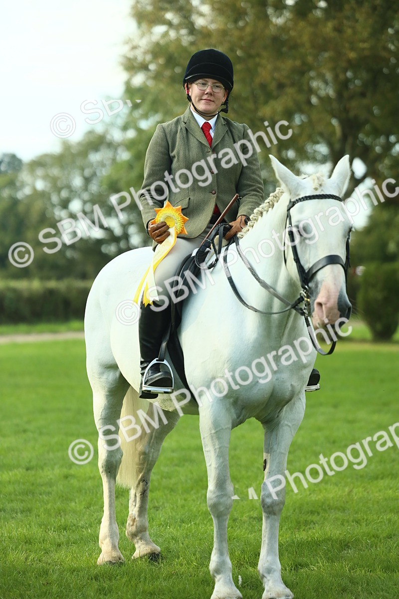 SBM_52239 - S33 - Working Hunter & Working Show Horse