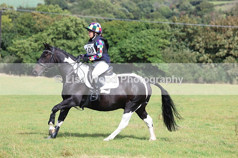 3E7A6538 - Class 1: Trebudannon Open: Pheasant Feeder