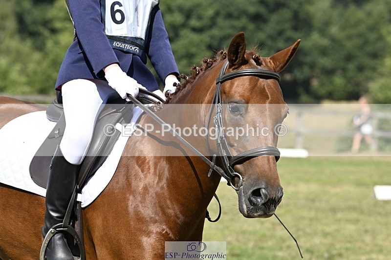 250822A-112006-22208 - DR 11.00 to 12.00