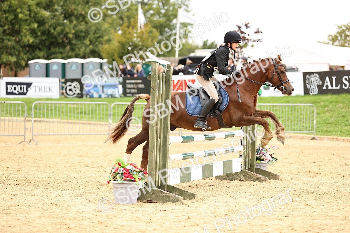 SBM_66447 - J17 - Junior Pony 80cm Championship